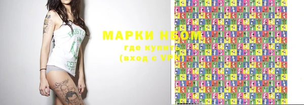 прущие грибы Осинники