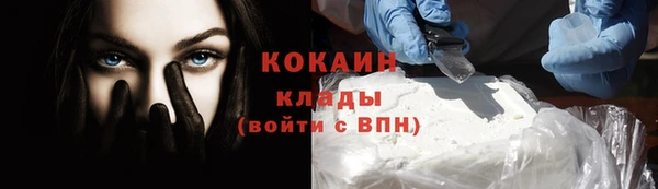 прущие грибы Осинники