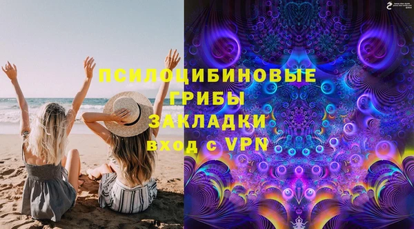 прущие грибы Осинники