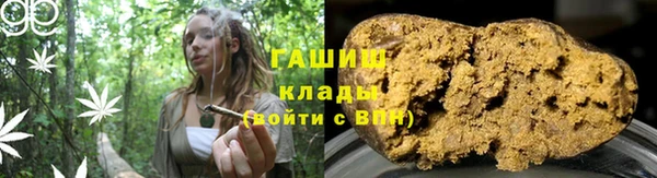 прущие грибы Осинники