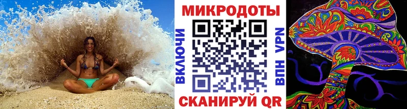 Псилоцибиновые грибы Cubensis  Холмск 